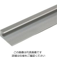 光モール アルミボーダー8 1000mm 584 1セット(2本)（直送品）