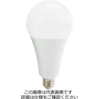 藤原産業 SK11 LED交換球 23WLDA23DーGーSK LDA23D-G-SK 1個（直送品）