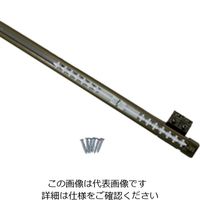 ヒナカ ニューNKレール アンバー NNB-3 1袋（直送品）