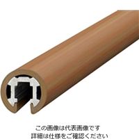 ヒナカ ハンドレール1mM E210-1-21 1袋（直送品）