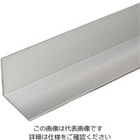 光モール アルミアングル AL30×30 1000mm 406 1セット（2本）（直送品）