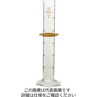 柴田科学 メスシリンダー カスタムA 250mL 1個 026500-250 1-1959-08（直送品）