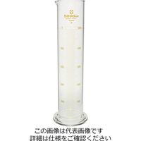 柴田科学 メスシリンダー カスタムA 5L 026500-50001 1個（直送品）