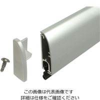 ハイロジック 下框用ピンチブロック 1000 シルバー FL-AQ-1000 1本（直送品）