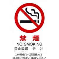 光 多国語ピクトサイン 禁煙 TGP2032-1 1枚 195-0171（直送品）