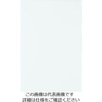 光（ヒカリ） 光 多国語ピクトサイン 無地板テープなし TGP2032-N 1枚 195-0183（直送品）