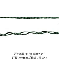 松浦工業 PPよりロープ(2本より溶着無) 約3ミリX100M 青 4984834459622 1セット(2個)（直送品）