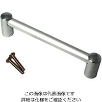 アイワ金属 ALパイプハンドル丸座120 AP-432C 1セット(2個)（直送品）