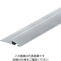 ヒナカ カーペットエッジ シルバー D600-2 1セット(2袋)（直送品）