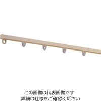 ヒナカ COW プラホームセット HSP-20 1セット(2セット)（直送品）