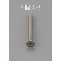 エスコ M6 x20mm 皿頭小ねじ(ステンレス製/4本) EA949NB-620 1セット(120本:4本×30パック)（直送品）