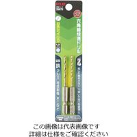 エスコ 1/4”/2.5mm ドリルビット(HSS/2本) EA824DG-2.5 1セット(20本:2本×10パック)（直送品）