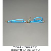 エスコ 25mmx 4.0m/ 250Kg ベルト荷締機(ラチェット式) EA982AC-3 1セット(2個)（直送品）