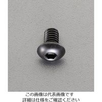 エスコ M 5x15mm六角穴付ボタンボルト(ステンレス/黒色/4本) EA949MS-515 1セット(120本:4本×30セット)（直送品）