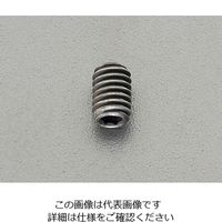 エスコ M 5x10mm六角穴付止めねじ(ステンレス/黒色/4本) EA949MV-510 1セット(120本:4本×30セット)（直送品）