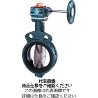618H-G 1.6MPa 高圧用バタフライバルブ 手動ギヤ式 FCD450/SCS13/NBR JIS16K
