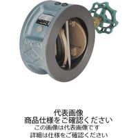 東洋バルヴ FCウイングチェッキ弁【要部CAC・消防評定/認定品】 (F)10ーFNWー100A (F)10-FNW-100A 1個（直送品）