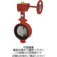 FCD弁体SCSバタ弁【ギア式・消防認定品・赤色】 （F）10L2-N-UE-RED
