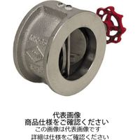 東洋バルヴ SCSウイングチェッキ弁【JV8ー1適合品】 10ーUNWー65A 1個（直送品）