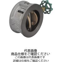 東洋バルヴ FCDウイングチェッキ弁【要部CAC・消防評定/認定品】 (F)20ーDNWー65A 1個（直送品）