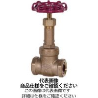 東洋バルヴ 無鉛くん青銅コアーゲート弁【給湯用】 LJ10ーBSRーHNーNー25A LJ10-BSR-HN-N-25A 1個（直送品）
