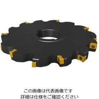セコ・ツールズ・ジャパン フライス サイドカッタ335.18 R335.18ー160.1012.40ー6N 1個（直送品）