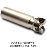 Seco Tools フライス スクエア6 R217.96-01.00-0-04-5A 1個（直送品）