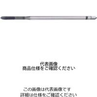 オールマイティタップ AーLTーPOT STD M11X1.25X100 8326092 A-LT-POT-11-1.25-100 1本（直送品）