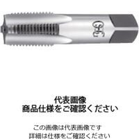 オールマイティタップA-S-TPT 8327683 A-S-TPT 1/4-18NPT 2.5P G（直送品）