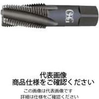 ガステーパタップSUS用 EX-SUS-S-TPT H 2 PT3/4-14 23996（直送品）