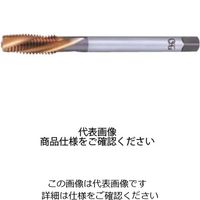 高速シンクロタップ HS-LT-RFT H STD M20X2.5X150 8304078（直送品