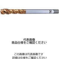 オーエスジー 高速シンクロタップ HSーLTーSFT H STD M14X2X150 8304258 M14 X 2 150 HSE 1本（直送品）