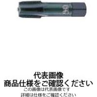 ガステーパタップホモ処理 PT1-11 8307728 H-S-TPT PT1 - 11 H 2（直送品）