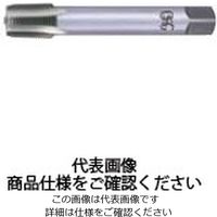 ガステーパタップ LT-S-TPT H 2 PT3/4-14X150 13635（直送品）