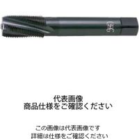 ガステーパタンタップ LT-SUS-S-TPT H2 PT3/8-19X120 8309264（直送品）