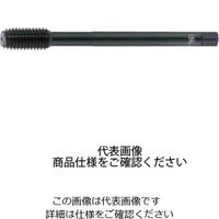 ニューロールタップ LT-NRT B H STD M10X1.25X100 14863（直送品）