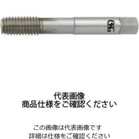 超硬チップろう付けニューロールタップ OT-IN-NRT B STD M10X1.25 8315849（直送品）