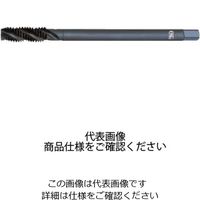 油穴スパイラルタップ OIL-SFT H STD