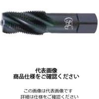 SUSSFT-S-TPTPT1/16 - 28 HSE 2（直送品）