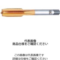 チタンコーティングタップ TIN-HT #3 H STD M2.5X0.45 14705（直送品）