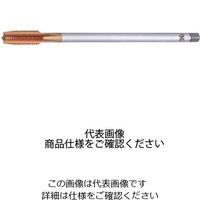 チタンロングシャンクタップ TIN-LT #2 H STD M8X1.25X100 14554（直送