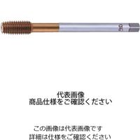 チタンニューロールタップ TIN-LT-NRT B STD M10X1.25X10 8308421（直送品）