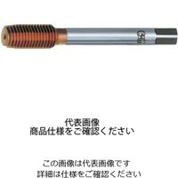 チタン 工具の人気商品・通販・価格比較 - 価格.com