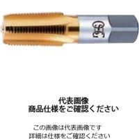 チタンガステーパタップ H PT1/4-19 23472 TIN-S-TPT PT1/4 - 19 HSE 2（直送品）