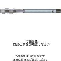 ロング鋳物用タップ EXーFCーLT STD M12X1.25X150 3P 78290 M12 X 1.25 150 HSE 1本（直送品）