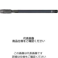 ロングホモポイントタップホモ処理 EX-LT-H-POT M24X3X200 79086（直送品）