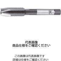 ポイントタップ H M2.6X0.45 16061 EX-POT M2.6 X 0.45 HSE STD+2（直送品）