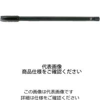 ロングSUSポイントタップ EX-LTSUS-POT STD M18X2.5X200 15875（直送品