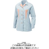 アルトコーポレーション 女性用長袖スモック グレー 9号 BN-594-30-9 1枚（直送品）