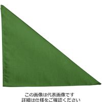 アルトコーポレーション キレイな三角巾 モスグリーン フリー FR-9200-27 1セット（2枚）（直送品）